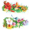 FlowerOther FlowerOther
